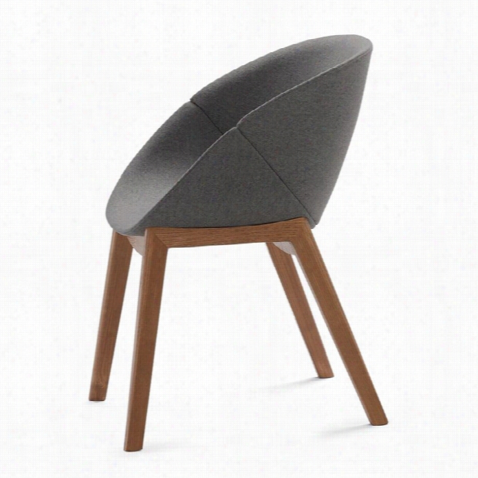 Domiitalia Coquille-l Egg Chair In Walnut