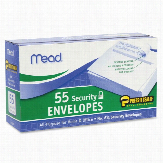 Mead Security Envelopes