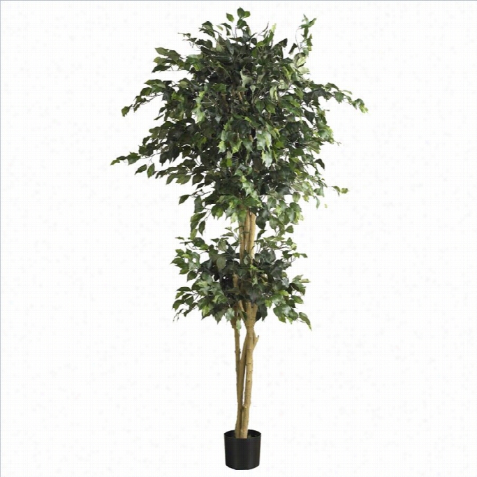 Nearlly Natural 6' Double Ball Ficus Silk Tree In Green