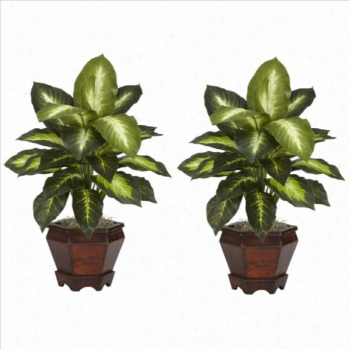 Nearly  Naatural Diefffenbachia With Wood Vase Silk Plant In Golden(set Of 2)