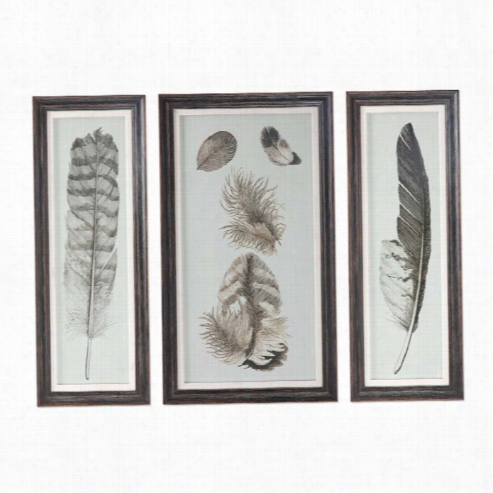 Uttermost Feather Study Prints (set Of 3)
