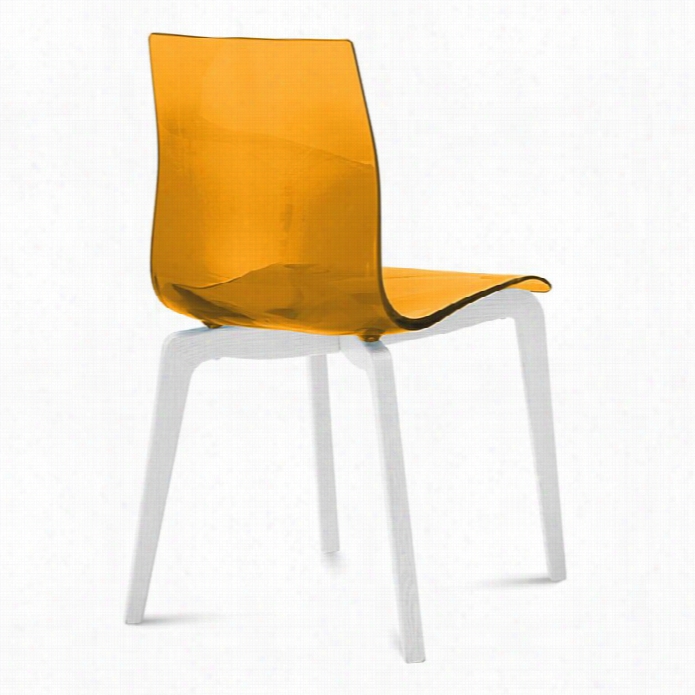 Domitalia Gel-l Dining Chair In Transparnt Orange With White Legs