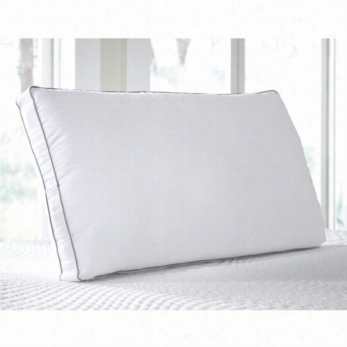 Sierrasleeep King Befter Than Down Pillows In White (set Of 2)