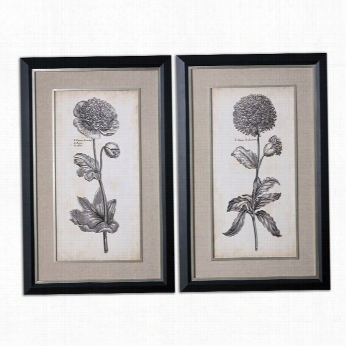 Uttermost Singualr Beauty  Floral Framed Art In Black Satin (decline Of 2)