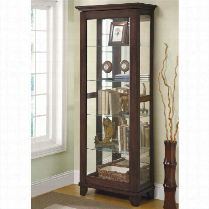 Coaster 5 Shoal Curio Cabinet With Can Lighting In Medium Brown