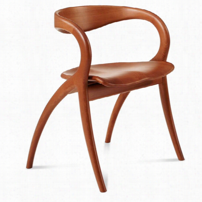 Domitalia Star Dining Chair In Cherry Brown