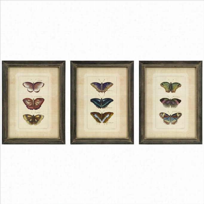 Imax Cor Poration Butterfly Accumulation Wall Art ( Set Of 3)