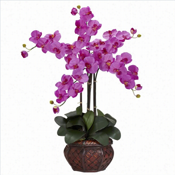 Nearly Ntaural Phalaenopsis With Dceorative Vase Silk Flower Aarrangement In Orch Id