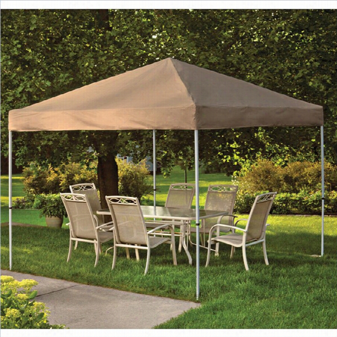Shelterlogic 10'x10' Pro Pop-up Canopy Straight Leg With Cover In Uninhabited Bronze
