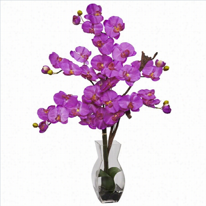 Nearly Natural Palaenopsisw Ith Vasse Sklk Flower Arrangeent In Orchid