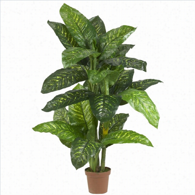 Nearly Natural 5' Dieffenbachia Sil Kplant (real Touch)) In Unripe