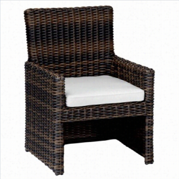 Sunset Wset Montecito Dining Chair In Cognac-canvas Cork