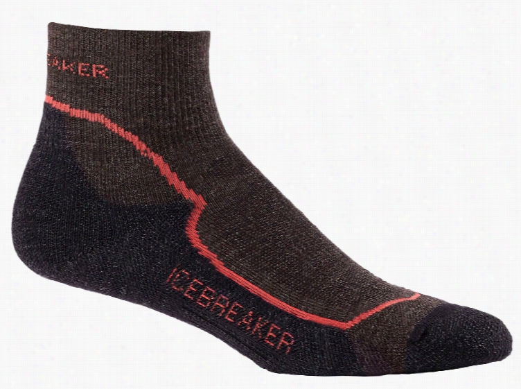 Icebreker Hike Plus Mini Light Cushio Socks