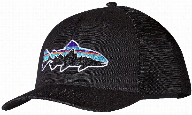 Patagonia Fitz Roy Trou T Trucker Cap