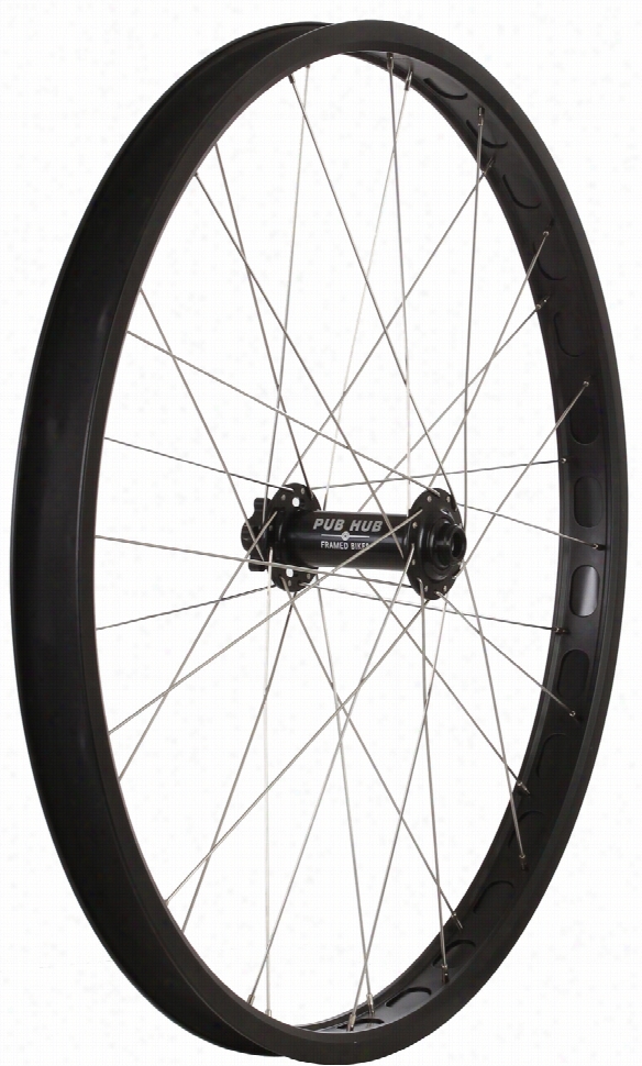 Framed Pro-x 29+ Front Bike Wheel