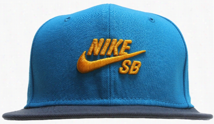 Nike Sb Icons Napback Cap