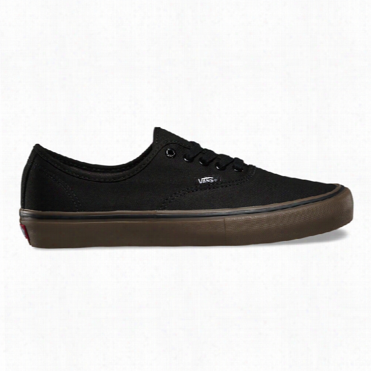 Vans Authentic Pro Sate Shoees