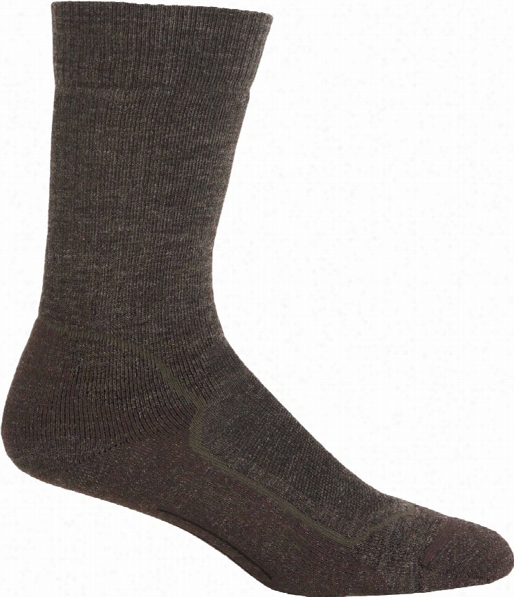 Icebreaker Hiike+ Crew Medium Cushion Socks