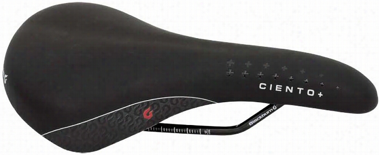 Blackburn Cieno Classic Road Bkie Saddle