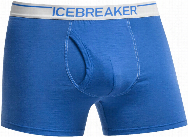 Icebreaker Anatomica W Fly Boxers