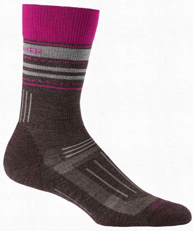 Icebreaker Hike Rcew Light Cushion Socks