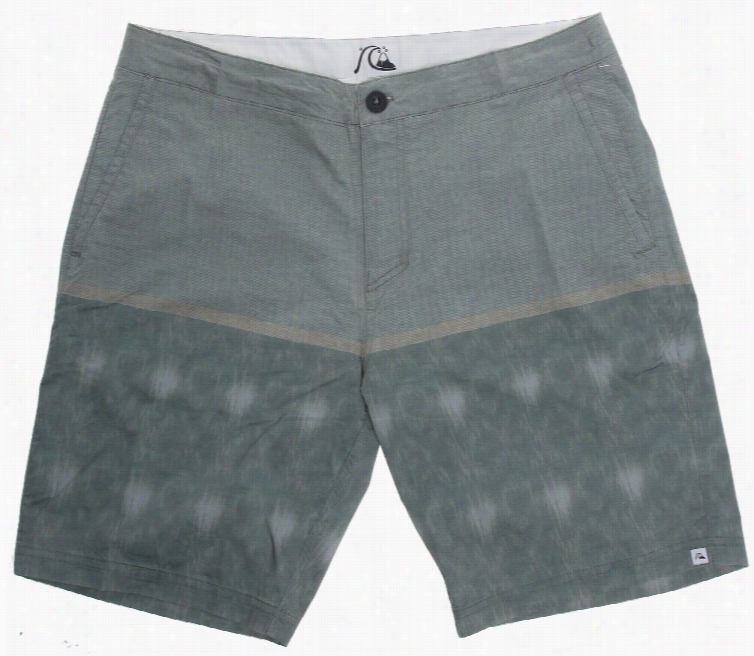 Quiksilver Blocked Amphibian 19 Sshorts