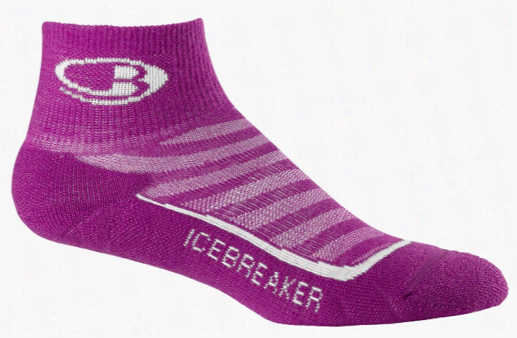 Icebreaker Run Pluus Mini Light Cushion Socks