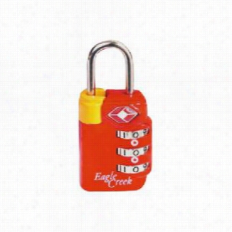 Eagle Creek Travel Saef Tsa Lock