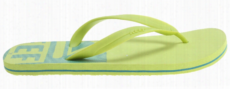 Reef Pulse Tqt Sandals