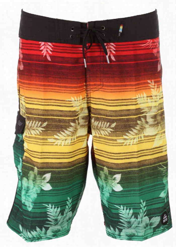 Reef Perth Boardshorts