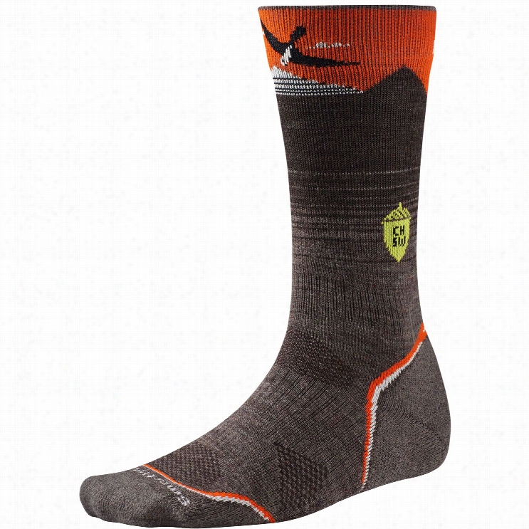 Smartwoool Phd Exterior Light Crew:charley Harper Natl Pk Pstr Bird On Mntn Socks