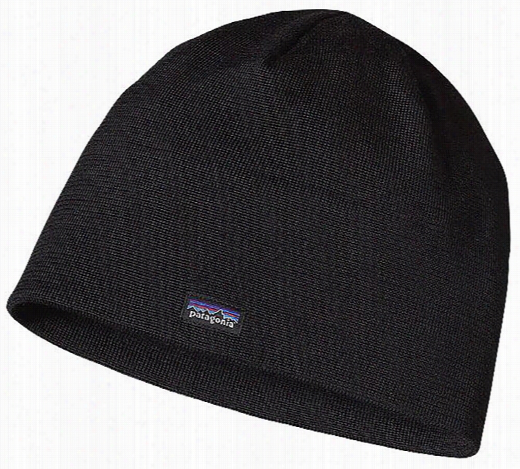 Patagn0iia Beanie