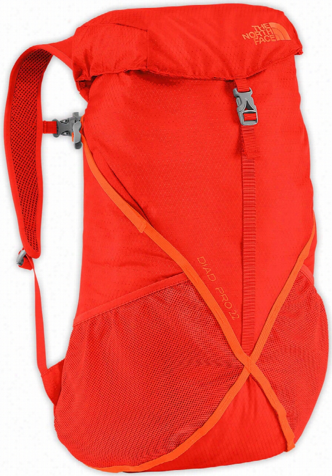 T He North Face Diad Pro 22 Backpack