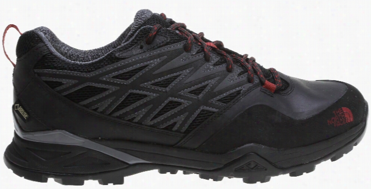 The North Front Hedgehog Hike Gtx Hiking Shoes