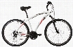 Fuji Crosstown 1.1 Bike