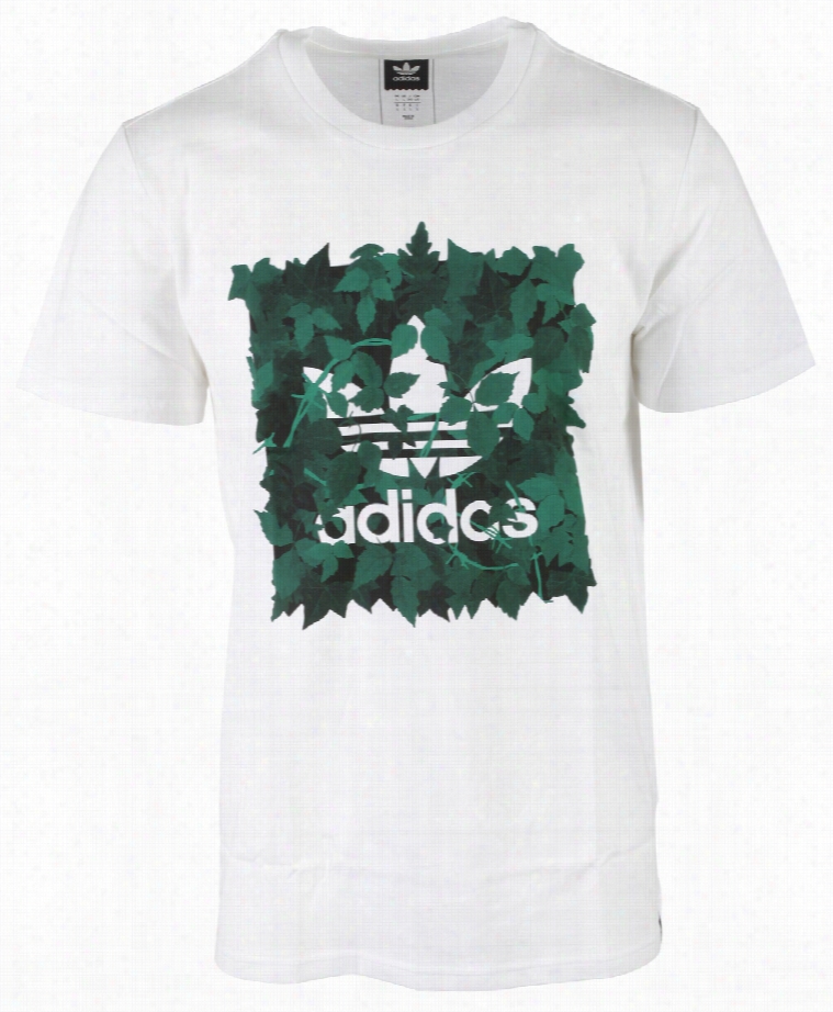 Adidas Blwckird  Posion Ivy League T-shirt