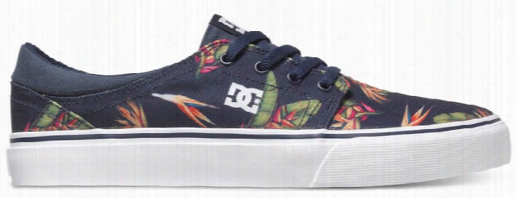 Dc Trase Sp Skate Shoes