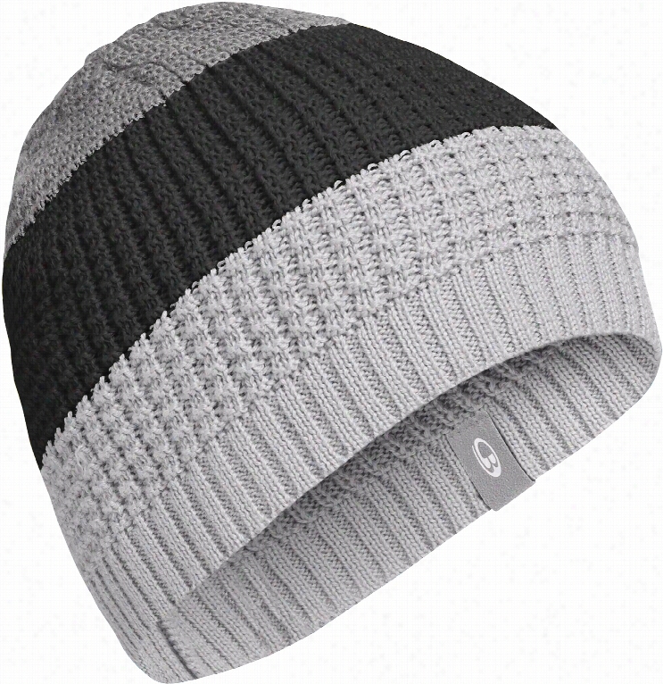 Icebreaker Oasis Beanie