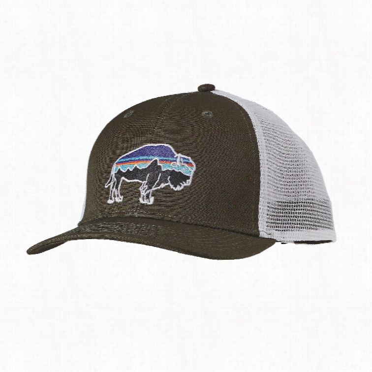 Patagonia Fitz Roybison Trucker Cap