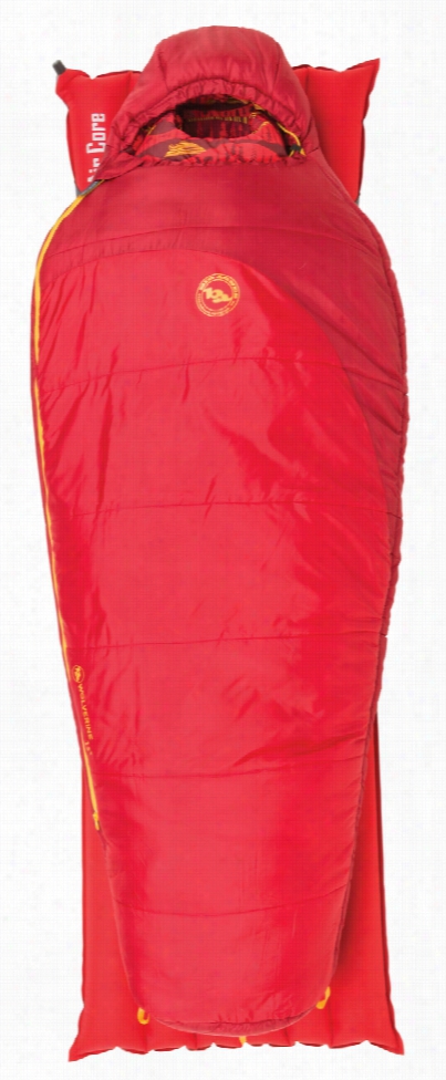 Big Agnes Wolv Erine 15 Sleeping Bag