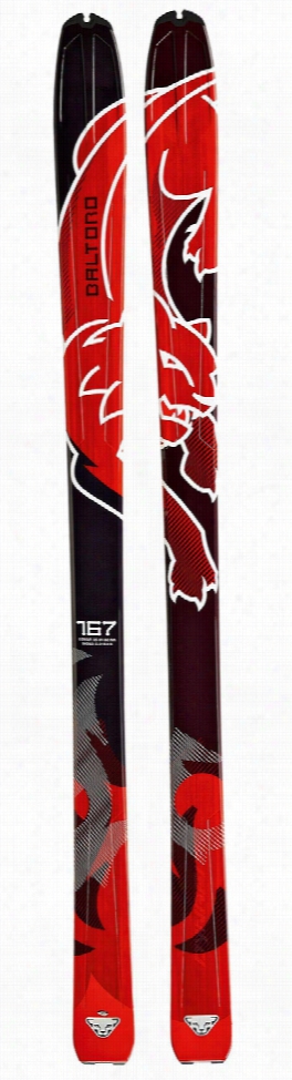 Dynafit Baltoro Skis