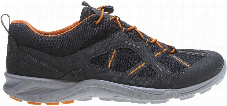 Ecco Terracruise Speed Shoes