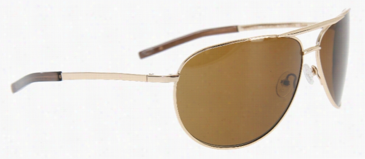 Smith Serpico Sunglasses