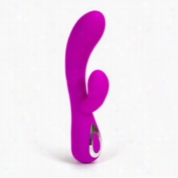 G-spot Vibrator - Eden Rechargeable Dal Vibrator