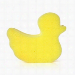 Ducky Sponge