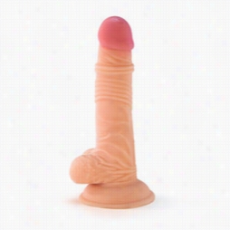 Wicked Ringed Realistic Dildo