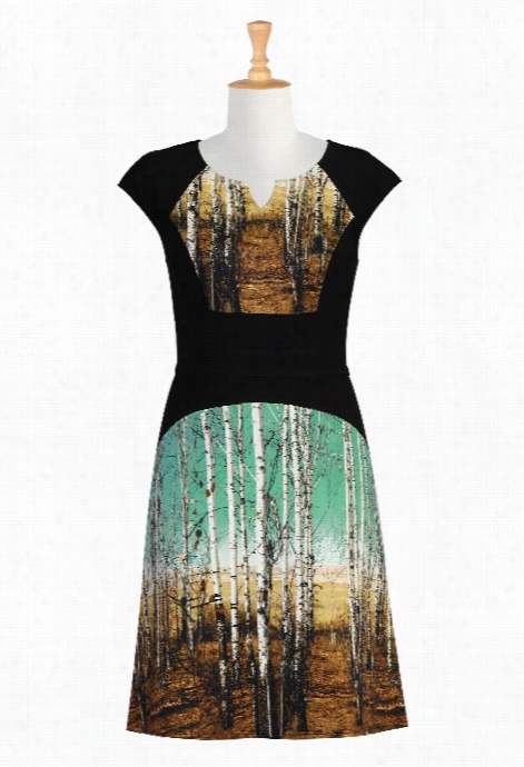 Eshakti Wome'ns Landscape Print Colorblock Ponte Dress