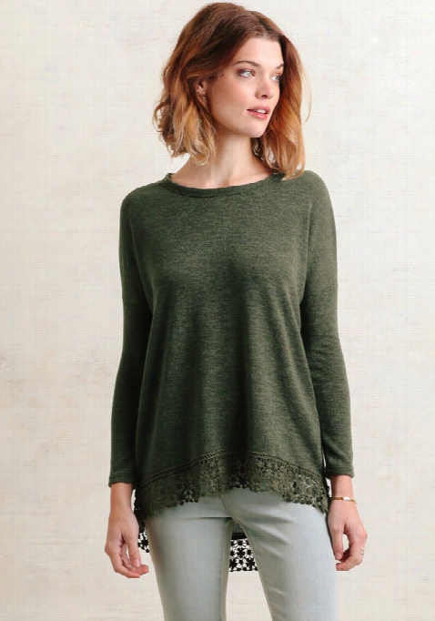 Among The  Willows Crochet Accent Top