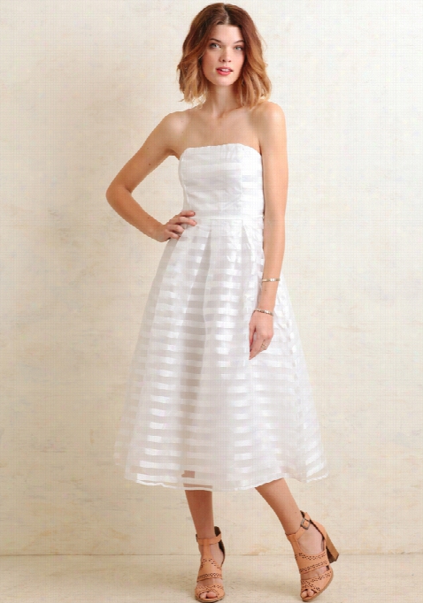 Lilia Striped Organza Dress