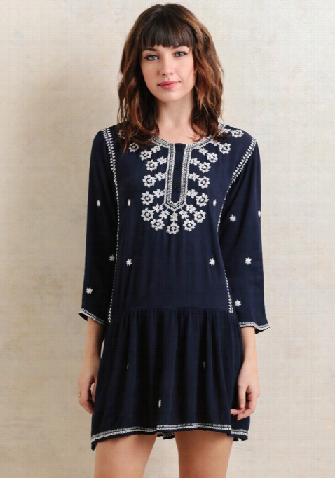 Starry Light Embroidered Dress